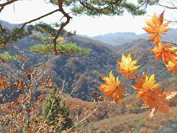 东明孕中期打胎药会怎样（怀孕中期吃打胎药会流产吗）